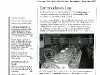 XmasShip-MEDIA-010-05-Brnm-.jpg