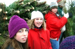Getting the trees from the deck of the cutter