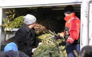 Loading trees into the trucks
